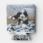 IMG_9916 BLIKJESKOELER (Achterkant)