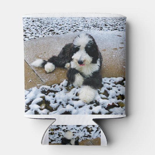 IMG_9916 BLIKJESKOELER (Achterkant)