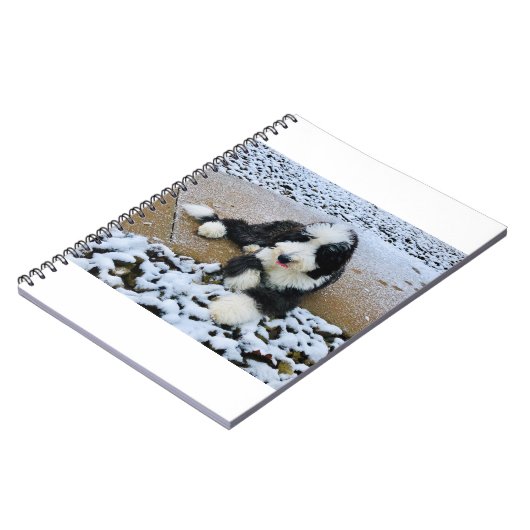 IMG_9916 NOTITIEBOEK (Linkerzijde)