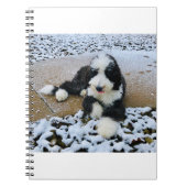 IMG_9916 NOTITIEBOEK (Voorkant)