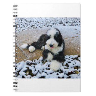 IMG_9916 NOTITIEBOEK