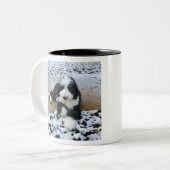 IMG_9916 TWEEKLEURIGE KOFFIEMOK (Voorkant links)