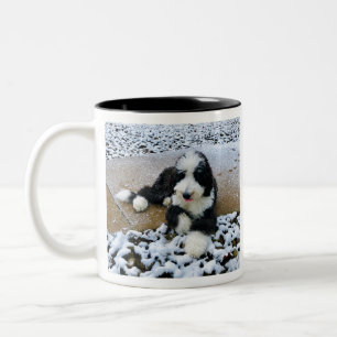 IMG_9916 TWEEKLEURIGE KOFFIEMOK