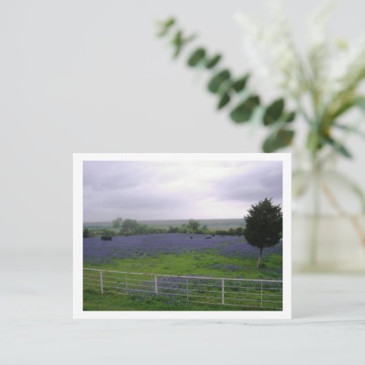 IMGP4300 BRIEFKAART (Staand voorkant)