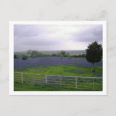 IMGP4300 BRIEFKAART (Voorkant)