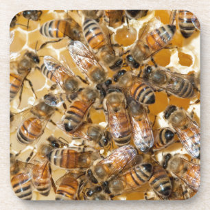 Imkerij bij Arlo's Honey Farm Bier Onderzetter
