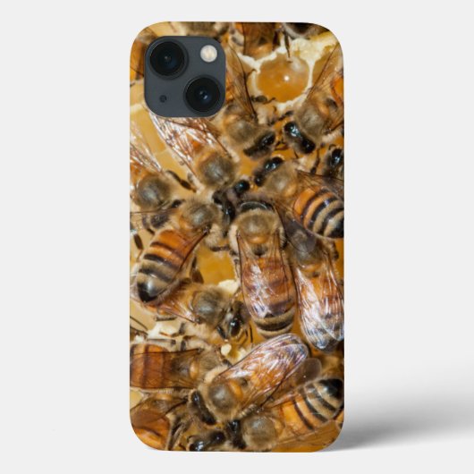 Imkerij bij Arlo's Honey Farm Case-Mate iPhone Case (Achterkant)