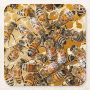Imkerij bij Arlo's Honey Farm Kartonnen Onderzetters