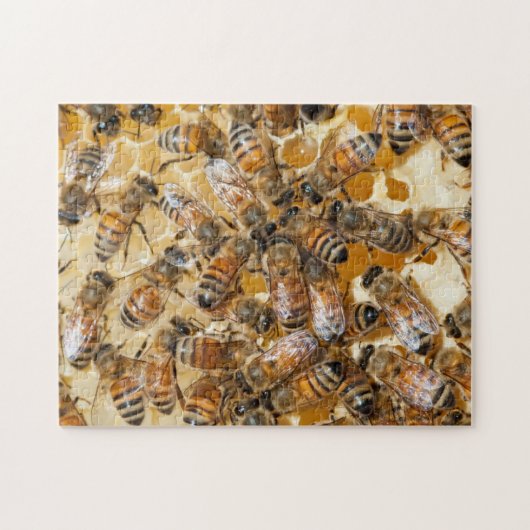 Imkerij bij Arlo's Honey Farm Legpuzzel (Horizontaal)