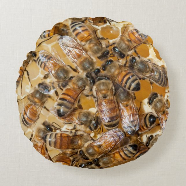 Imkerij bij Arlo's Honey Farm Rond Kussen (Voorkant)