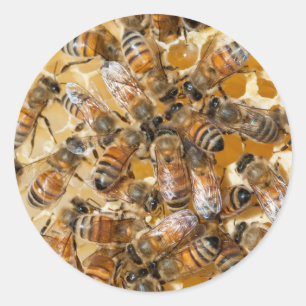 Imkerij bij Arlo's Honey Farm Ronde Sticker