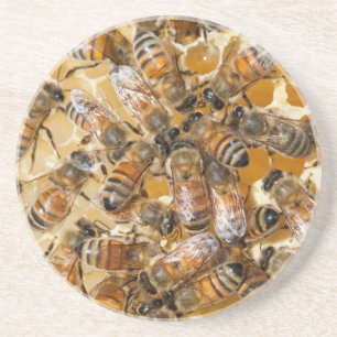 Imkerij bij Arlo's Honey Farm Zandsteen Onderzetter
