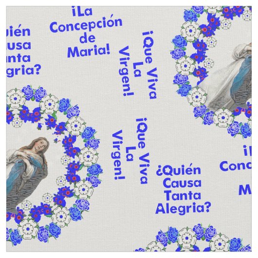 Immaculate Conception Virgin Nicaragua Spaans Stof (Close Up)