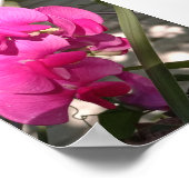 Immaculeer zon en indrukwekkende verlichting poster (Hoek)