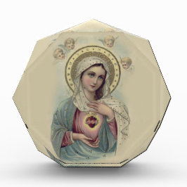 Immaculeren en Sorrowful Heart van Maagd Mary Fotoblokken