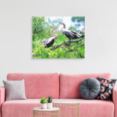 Immature Anhingas Wrapped Canvas (Insitu (Woonkamer))