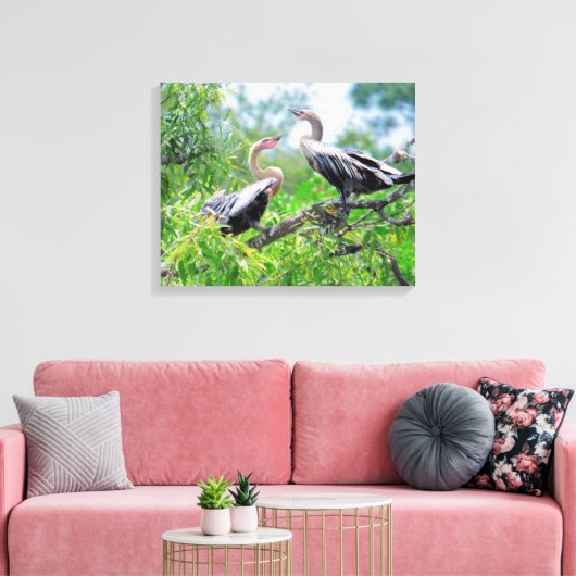 Immature Anhingas Wrapped Canvas (Insitu (Woonkamer))