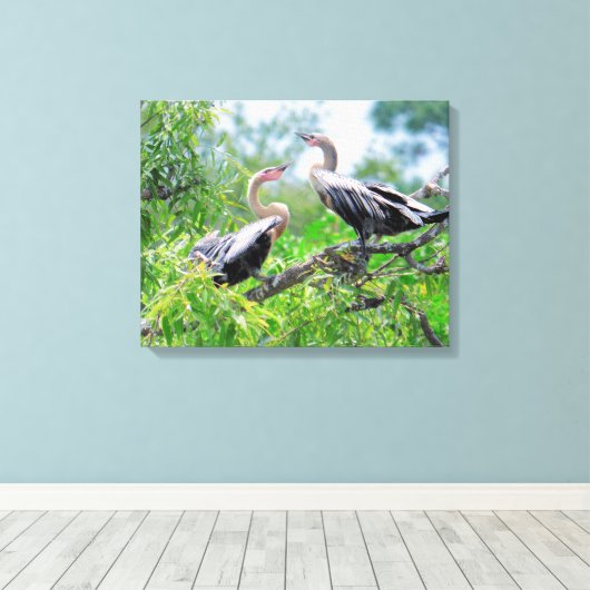 Immature Anhingas Wrapped Canvas (Insitu (Houten vloer))