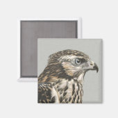 Immature Goshawk Magneet (Voorkant / Achterkant)