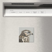 Immature Goshawk Magneet (Insitu (Vaatwasser))