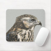Immature Goshawk Muismat (Met muis)