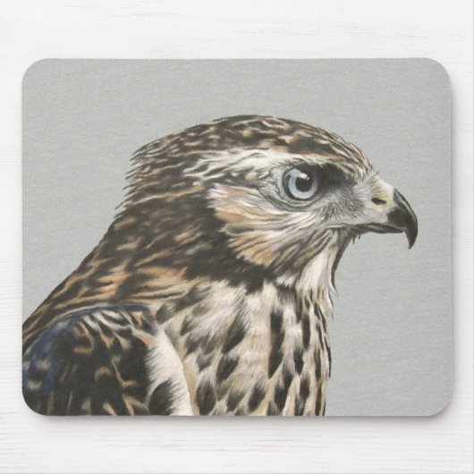 Immature Goshawk Muismat (Voorkant)