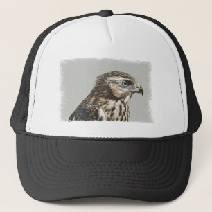 Immature Goshawk Trucker Pet