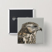 Immature Goshawk Vierkante Button 5,1 Cm (Voorkant /achterkant)