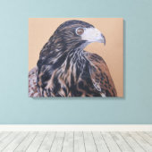 Immature Harris Hawk Canvas Afdruk (Insitu (Houten vloer))