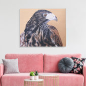 Immature Harris Hawk Canvas Afdruk (Insitu (Woonkamer))