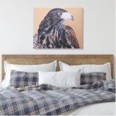 Immature Harris Hawk Canvas Afdruk (Insitu (Slaapkamer))