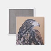 Immature Harris Hawk Magneet (Voorkant / Achterkant)