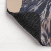 Immature Harris Hawk Muismat (Hoek)