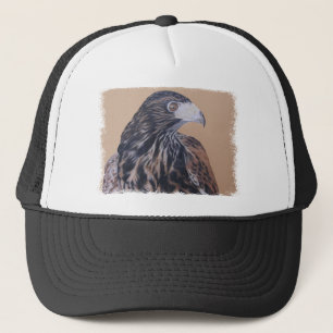 Immature Harris Hawk Trucker Pet