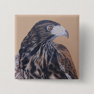 Immature Harris Hawk Vierkante Button 5,1 Cm