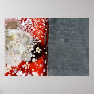 Immortaliteit 2 poster