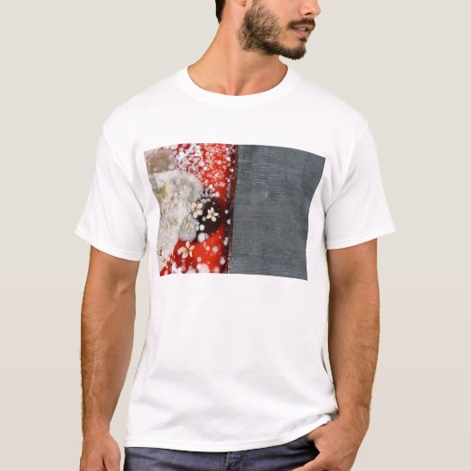 Immortaliteit 2 t-shirt (Voorkant)