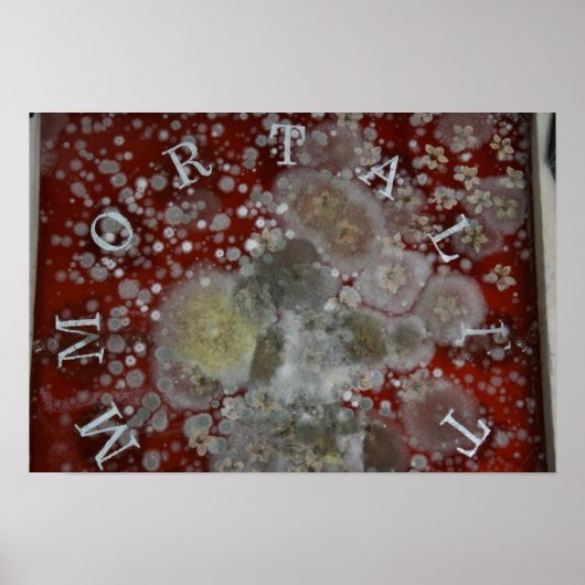 Immortaliteit Poster (Voorkant)