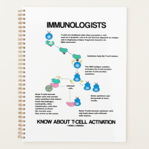 Immunologen weten over T-cel activering Planner
