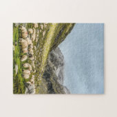 Immuunsysteem puzzel - Sheeps Herd (Horizontaal)