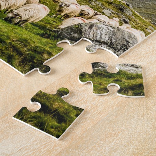 Immuunsysteem puzzel - Sheeps Herd Legpuzzel (Zijkant)
