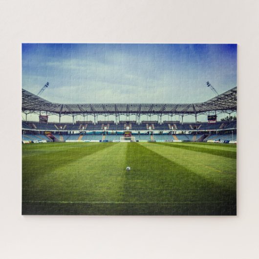 Immuunsysteem Puzzle - Soccer Stadium Legpuzzel (Horizontaal)