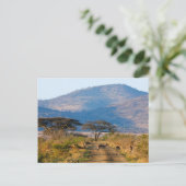 Impala (Aepyceros Melampus), Hluhluwe-Umfolozi Briefkaart (Staand voorkant)