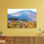 Impala (Aepyceros Melampus), Hluhluwe-Umfolozi Canvas Afdruk (Insitu (Woonkamer))