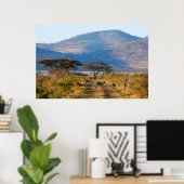 Impala (Aepyceros Melampus), Hluhluwe-Umfolozi Poster (Thuiskantoor)