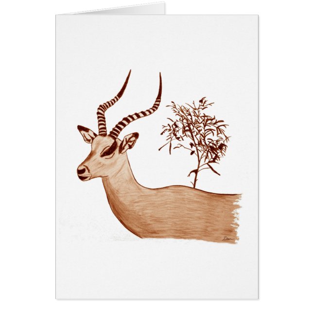 Impala Antelope Dier Wildlife Tekening Schets (Voorkant)