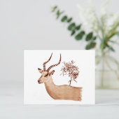 Impala Antelope Dier Wildlife Tekening Schets Briefkaart (Staand voorkant)