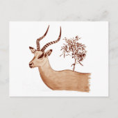 Impala Antelope Dier Wildlife Tekening Schets Briefkaart (Voorkant)