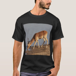 Impala antilope drink bij de waterhole foto t-shirt