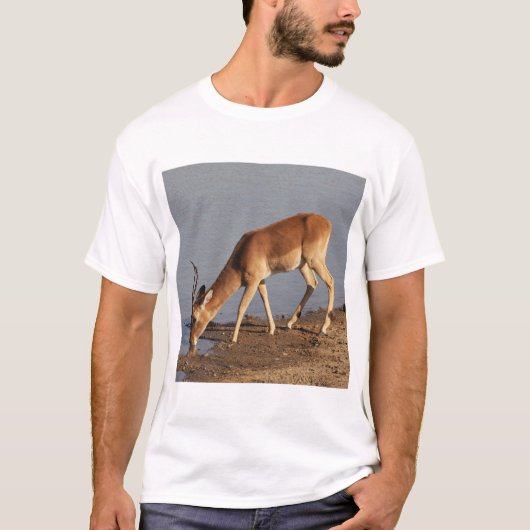 Impala antilope drink bij de waterhole foto t-shirt (Voorkant)